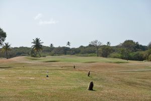 Tobago Plantations 17th